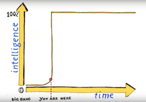 Screen Shot 2018-11-11 at 1.22.52 PM.png