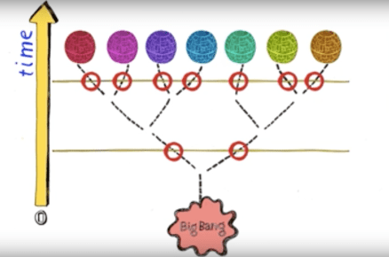 Screen Shot 2018-11-11 at 2.10.16 PM