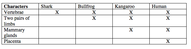 Screen Shot 2019-08-03 at 3.19.18 AM.png